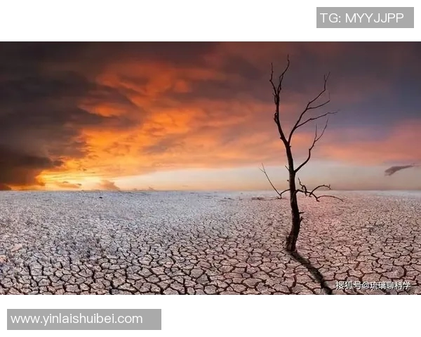 全球气候变化加剧 未来几十年极端天气频发影响全球经济与民生